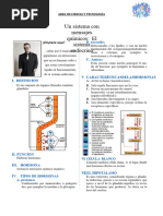 Ficha Sistema Endocrino