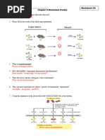 Chapter 8 Worksheet Packet KEY - HB 2016