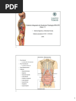 PDF Clase NÂ° 11 Sistema Digestivo y Glã¡dulas Anexas IAF UST 2020.