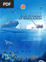 Blue Economy Policy Support and Institutional Arrangement