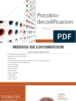 Psico Deco Modulo 3