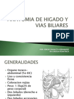 Anatomia de Higado y Vias Biliares