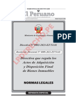 Directiva 02-2021