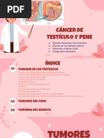 Cáncer de Testículo y Pene