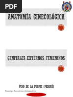 Anatomia-Ginecologic 2