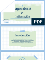 Procesos de La Fagocitosis y Inflamación