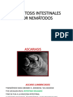 PARASITOSIS INTESTINALES POR NEMATODOS (Autoguardado)