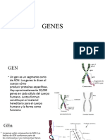 3.6 Genes