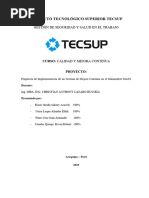 Formato 3 - Modelo Del Informe de Proyecto Final Calidad y Mejora Continua 2024-1