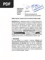 Insumos para El Trabajo Parcial DPC II 2024-1