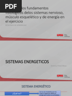 Sistemas Energeticos