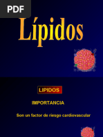 Lípidos