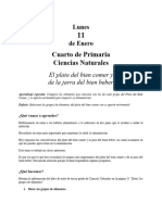 11 Enero 4 Primariac Naturales