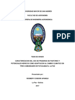 Caracterizacion Del Uso de Praderas de Pastoreo y Potenciales Hidricps Como Adaptacion Al Cambio Climatico - Tesis - Univ San Andres - Paz - 2017