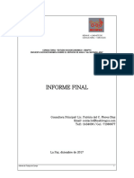 Informe Final de Consultoria - Yacuiba