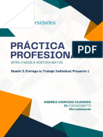 Práctica Profesional I - Pt1