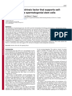 Wnt5a Is A Cell Extrinsic Factor That Supports Self Renewal of Mouse Spermatogonial Stem Cells