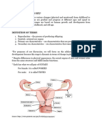 What Constitutes Sex