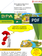 Clase 1 Introduccion A Las BPA