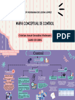 Mapa Conceptual Control