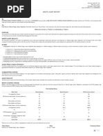 Hotel Dvij Audit Report...