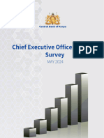 CEOs Survey, May 2024