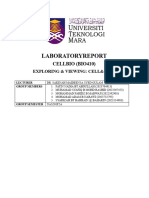 Laboratory Report 1 (Ecm)