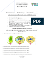 Prova 1º Ano - 1º Bimestre