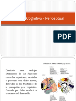 Modelo Cognitivo-Perceptual