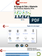 2 Sistema de Entrega de Valor y Adaptacion Proyectos Predictivos Adaptativos Mixtos 29092021 CESAP