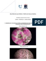 PDF 20230323 194050 0000