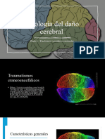 Etiología Del Daño Cerebral Parte 2