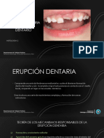 08 - Erupción y Reemplazo Dentario