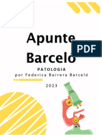 Apunte Barceló Transcripción Teoricos