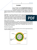 Lysosomes