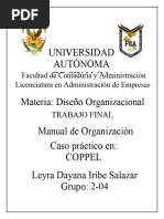 Proyecto Diseño Organizacional