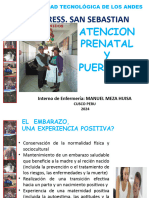 Atencion Prenatal y Puerperio