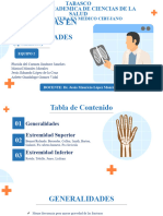 Fracturas en Adultos, Extremidades (Eponímicas)