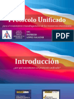 AATA 2024 - Nuevos Abordajes - Protocolo Unificado 24-5