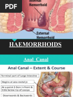 Haemorrhoids