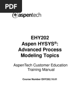 EHY202 Advanced Process Modeling Topics