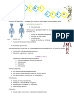 MORFOFISIOLOGIA L Modulo 2