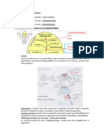 TEMA 7. Biologia II CCAA URJC