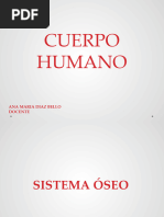 Cuerpo Humano Parte 1