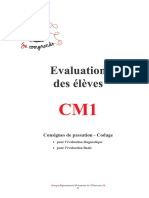 CM1 Evaluation Maitre