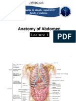 Lec 1 Abdominal Wall