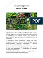 Arboles Frutales, Ornamentales. Plantas Medicinales