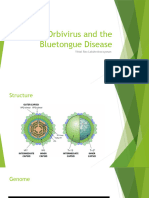 Orbivirus Final