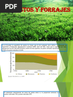 Pastos y Forrajes