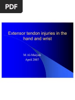 Extensor Tendon Injuries in The Hand and Wrist 16042007